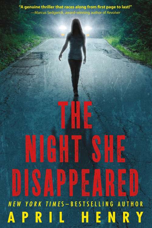 Book cover of The Night She Disappeared