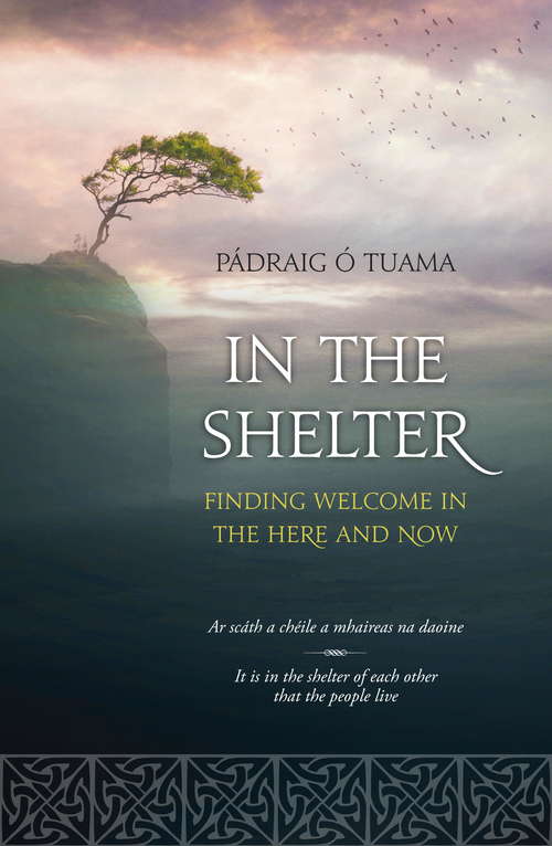 Book cover of In The Shelter