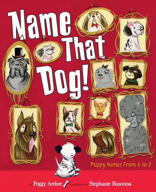 Book cover of Name That Dog
