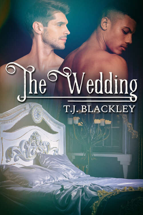 Book cover of The Wedding