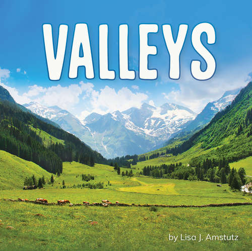 Book cover of Valleys (Earth's Landforms)