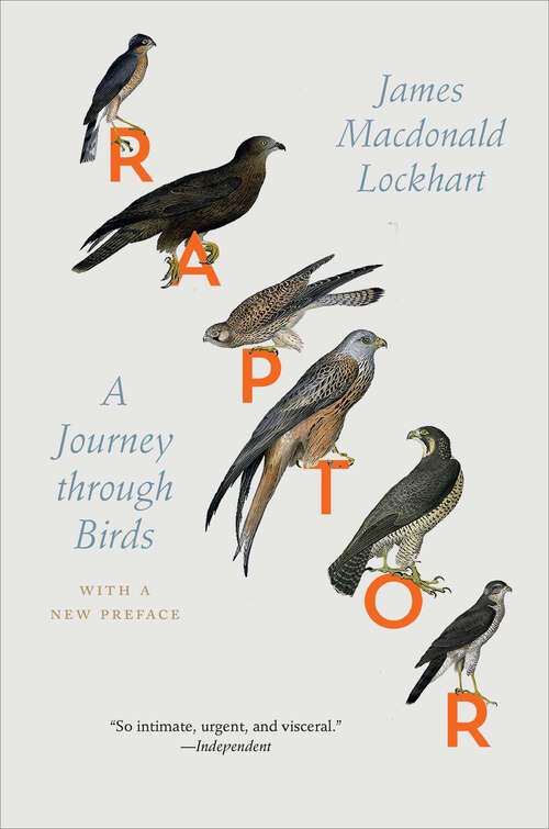 Book cover of Raptor: A Journey through Birds