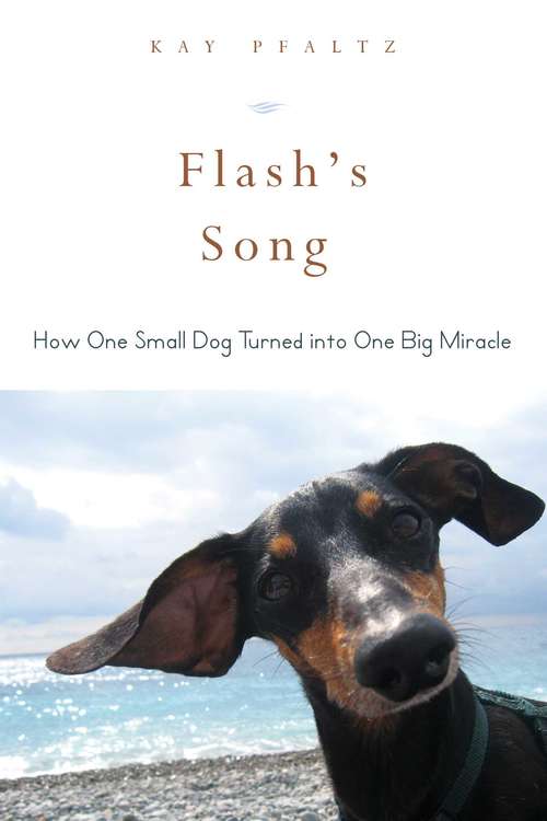 Book cover of Flash's Song: How One Small Dog Turned into One Big Miracle (Proprietary)