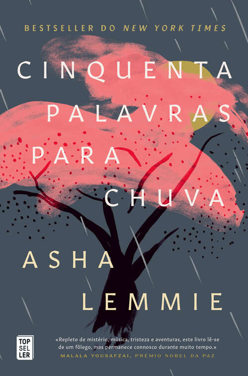 Book cover of Cinquenta Palavras para Chuva