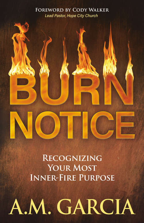Book cover of Burn Notice: Recognizing Your Most Inner-Fire Purpose