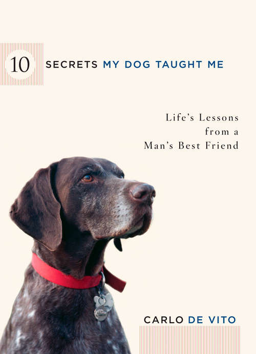 Really Important Stuff My Dog Has Taught Me [Book]