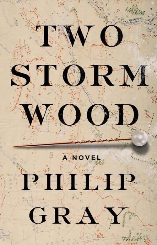 Book cover of Two Storm Wood: A Novel