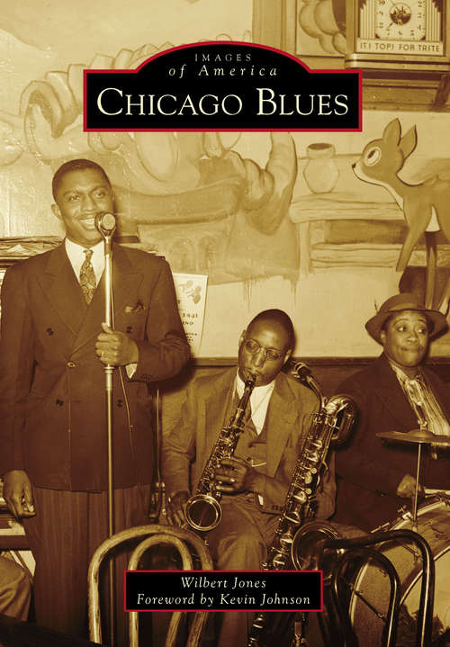 Book cover of Chicago Blues