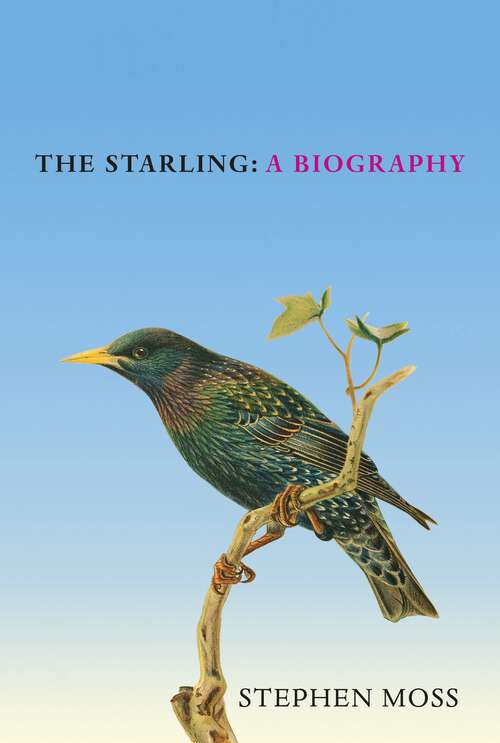 Book cover of The Starling: The perfect Christmas gift for bird lovers (The Bird Biography Series)