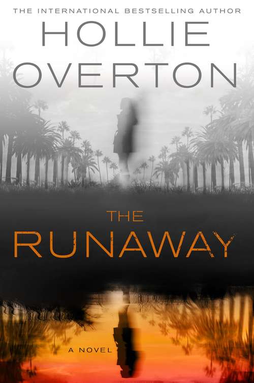 Book cover of The Runaway