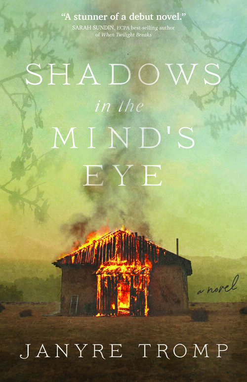 Book cover of Shadows in the Mind's Eye