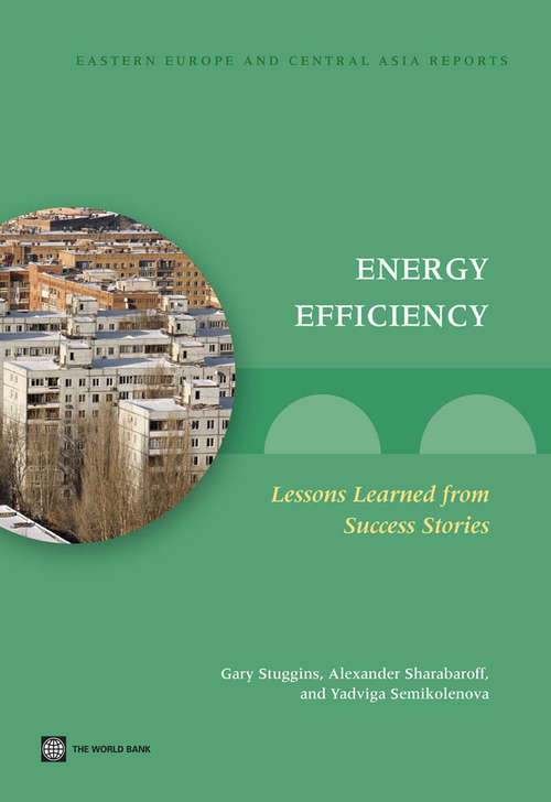 Book cover of Energy Efficiency: Lessons Learned from Success Stories