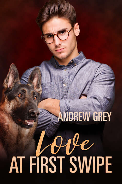 Book cover of Love at First Swipe