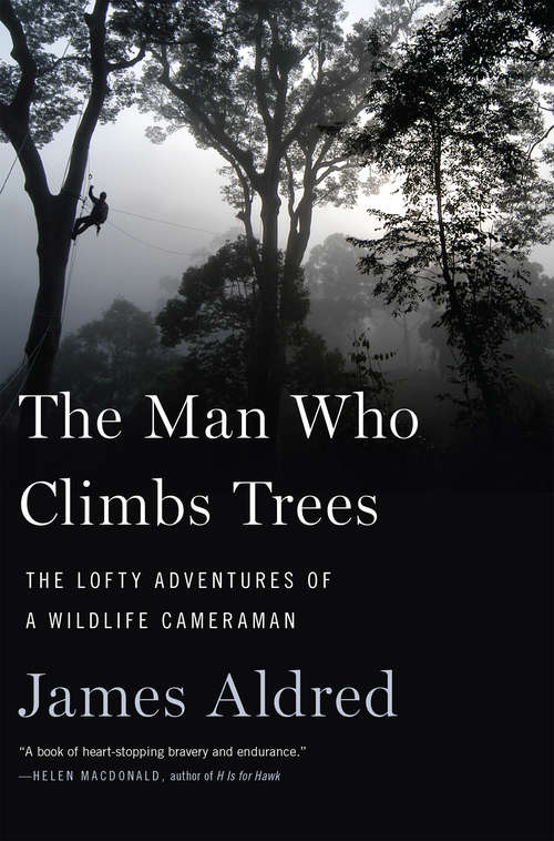 Book cover of The Man Who Climbs Trees: The Lofty Adventures of a Wildlife Cameraman