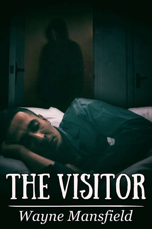 Book cover of The Visitor