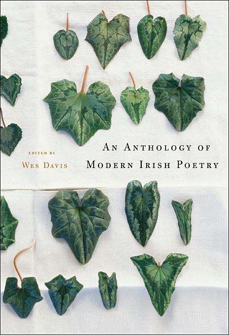 Book cover of An Anthology of Modern Irish Poetry