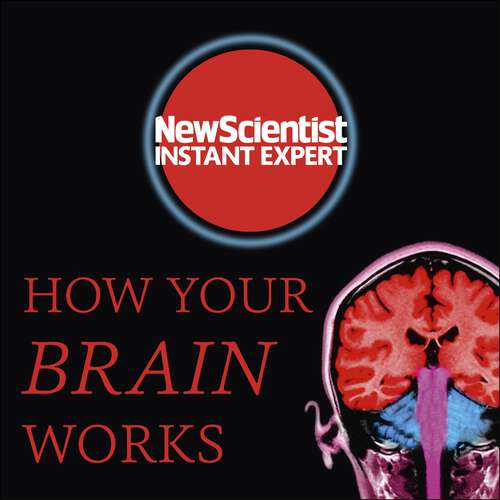 Book cover of How Your Brain Works: Inside the most complicated object in the known universe (New Scientist Instant Expert)