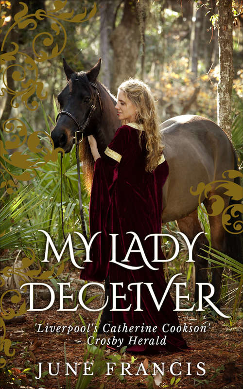 Book cover of My Lady Deceiver (Dales Large Print Ser.)