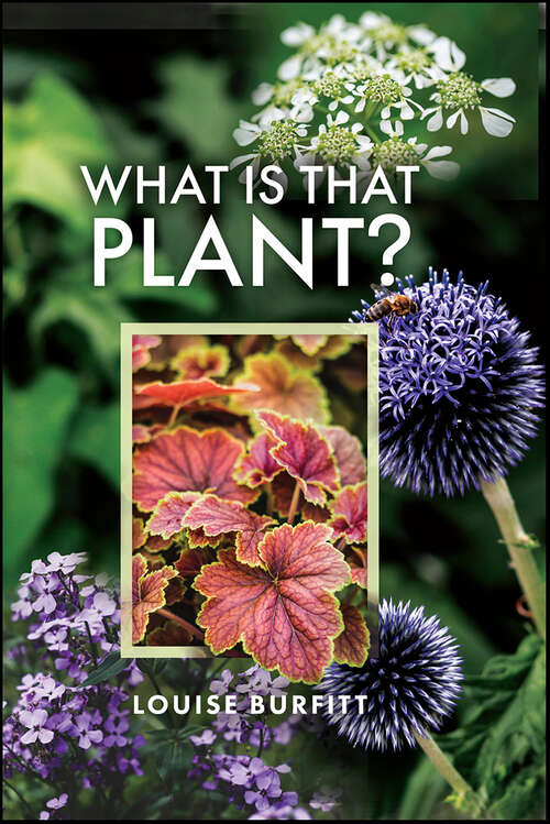 Book cover of What is that Plant?