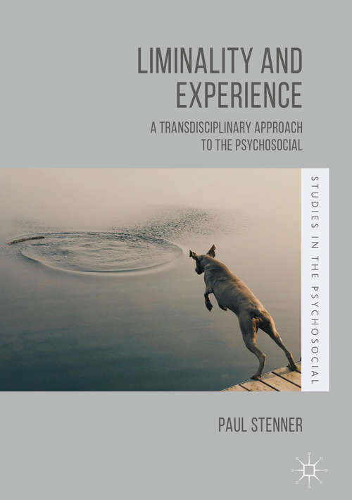 Book cover of Liminality and Experience