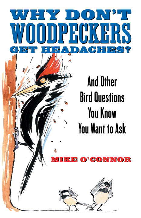 Book cover of Why Don't Woodpeckers Get Headaches?