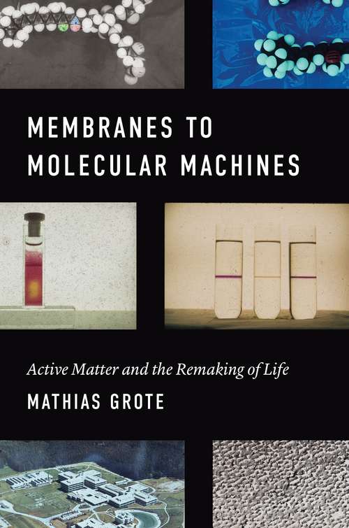 Book cover of Membranes to Molecular Machines: Active Matter and the Remaking of Life (Synthesis)