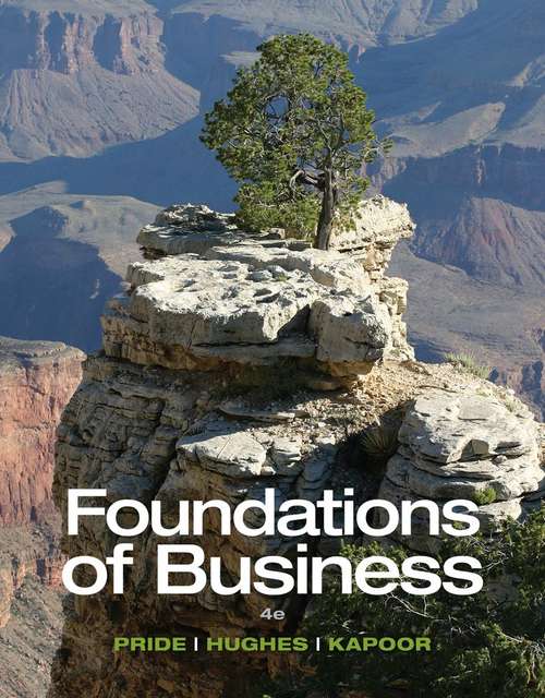 Book cover of Foundations of Business (Fourth Edition)