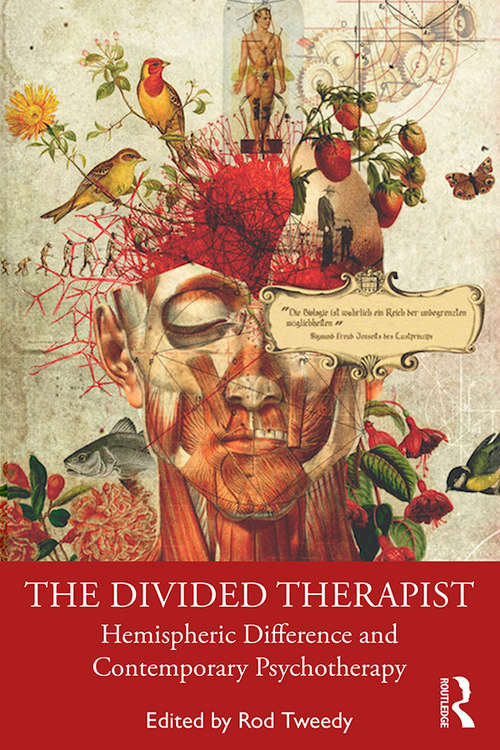 Book cover of The Divided Therapist: Hemispheric Difference and Contemporary Psychotherapy