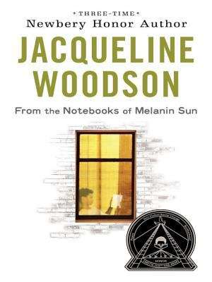 Book cover of From the Notebooks of Melanin Sun