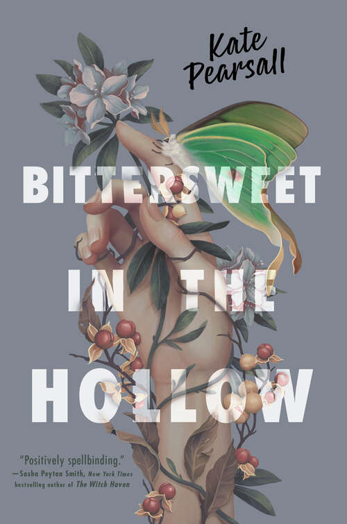 Book cover of Bittersweet in the Hollow