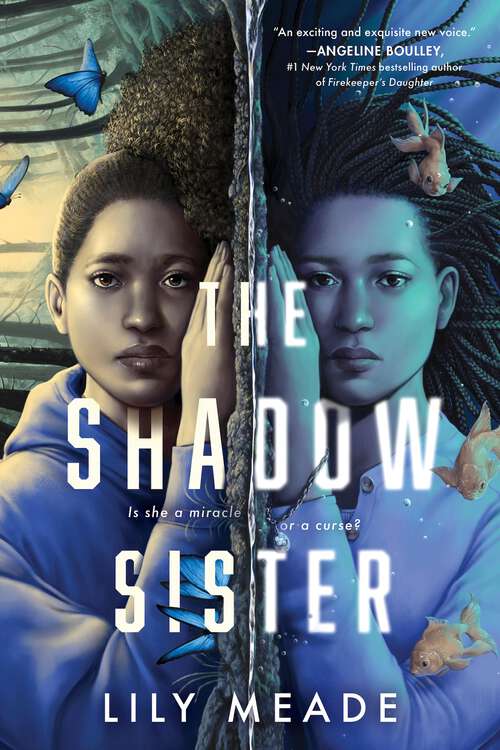 Book cover of The Shadow Sister