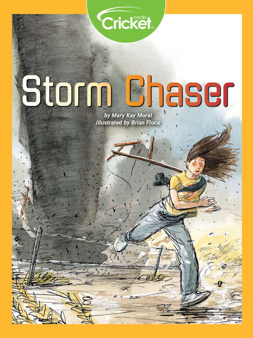 Book cover of Storm Chaser