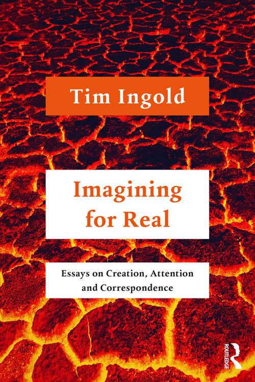 Book cover of Imagining for Real: Essays on Creation, Attention and Correspondence