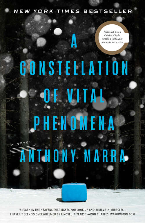 Book cover of A Constellation of Vital Phenomena: A Novel