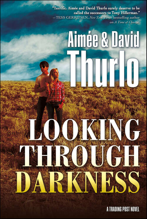 Book cover of Looking Through Darkness: A Trading Post Novel (The Trading Post Novels #2)