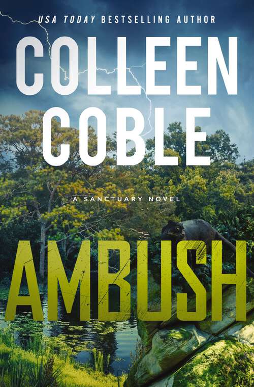 Book cover of Ambush: A Small-Town Romantic Suspense (A Sanctuary Novel)