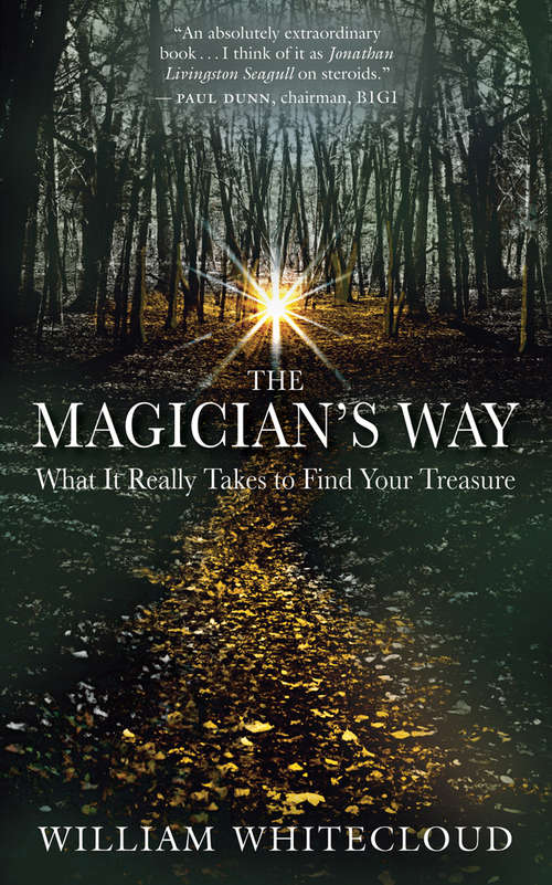 Book cover of The Magician's Way