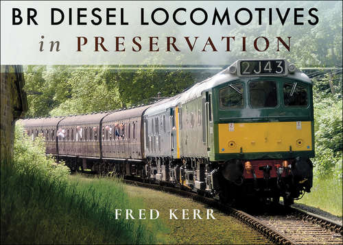 Book cover of BR Diesel Locomotives in Preservation