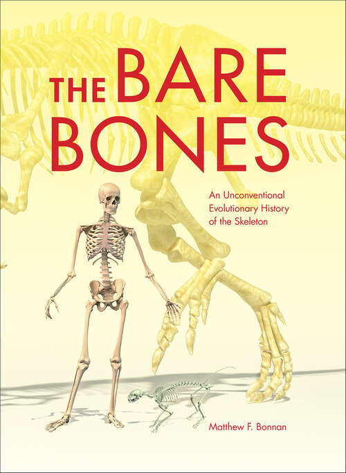 Book cover of The Bare Bones: An Unconventional Evolutionary History of the Skeleton (Life of the Past)