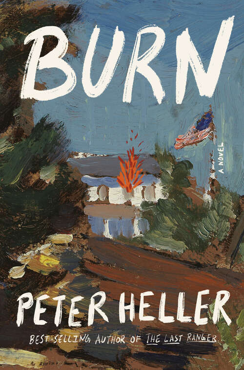 Book cover of Burn: A novel