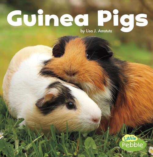 Book cover of Guinea Pigs (Our Pets Ser.)