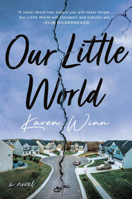 Book cover of Our Little World: A Novel