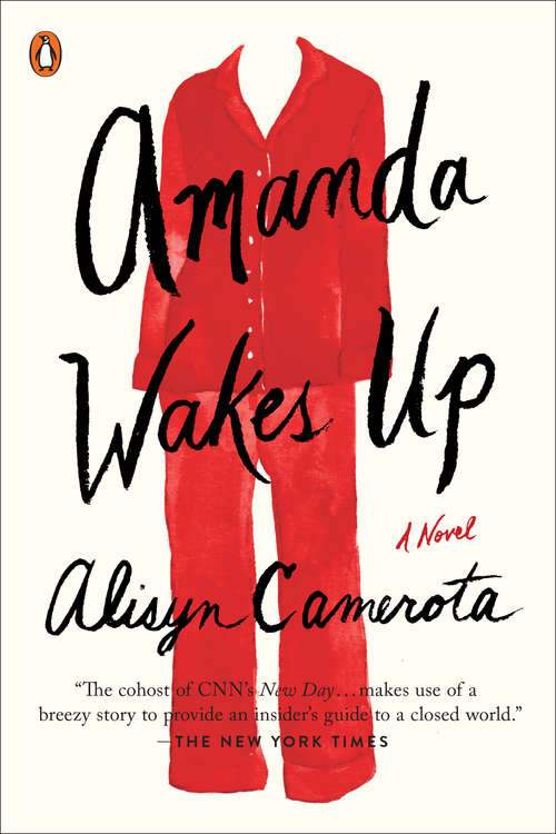 Book cover of Amanda Wakes Up