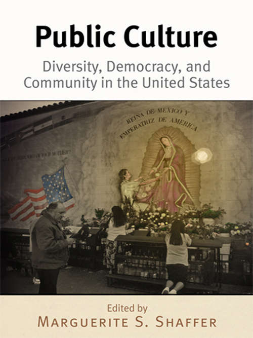 Book cover of Public Culture