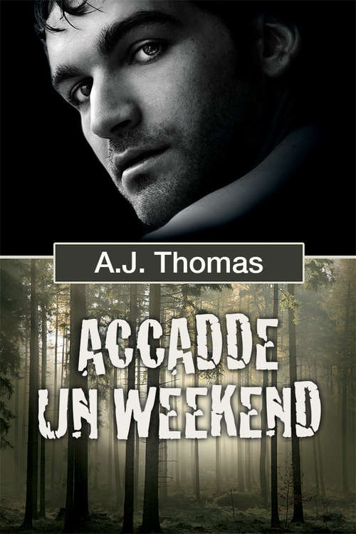 Book cover of Accadde un weekend (Serie Colleghi improbabili #1)