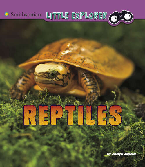 Book cover of Reptiles: A 4d Book (Little Zoologist Ser.)