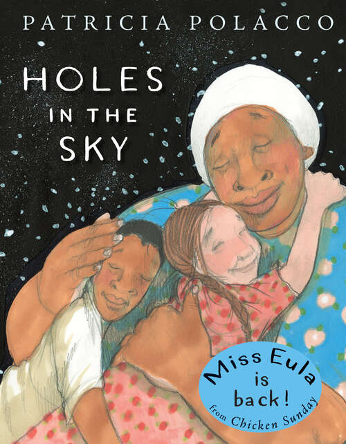 Book cover of Holes in the Sky