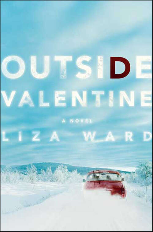 Book cover of Outside Valentine: A Novel