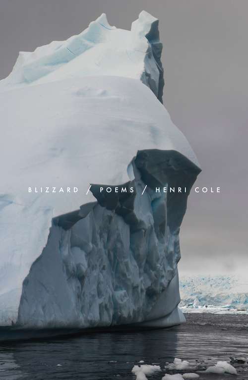 Book cover of Blizzard: Poems