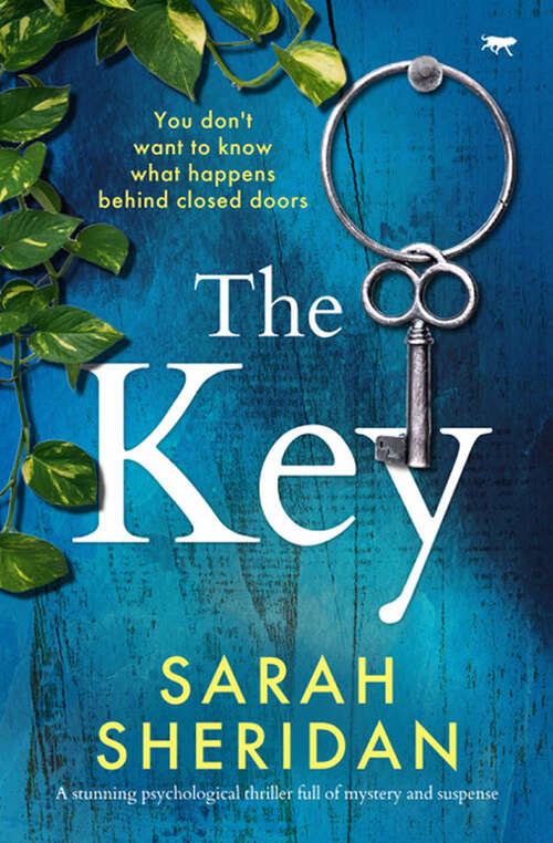 Book cover of The Key: A stunning psychological thriller full of mystery and suspense